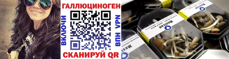 где продают наркотики Новоузенск Галлюциногенные грибы Cubensis